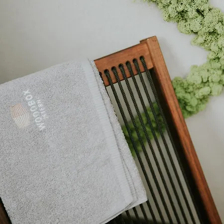 Woodbox Apartment Istebna