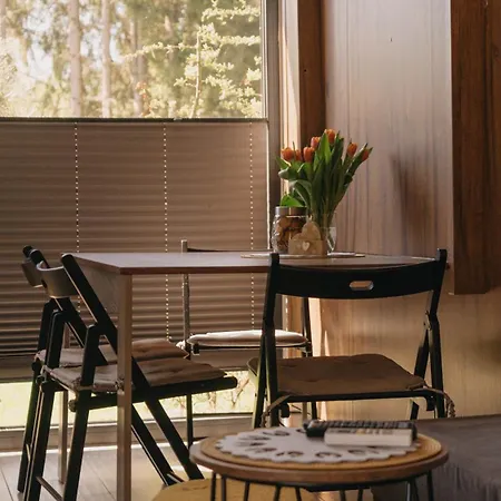 Apartment Woodbox Istebna